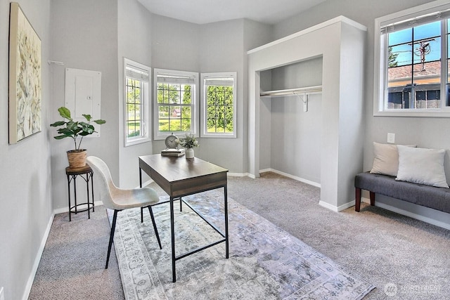 1630 Hillcrest Ave, Enumclaw, WA 98022 - home office with carpet floors and baseboards