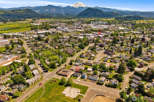 1630 Hillcrest Ave, Enumclaw, WA 98022 - aerial view of mountains
