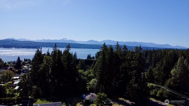 221 NW Nichols Ave, Bremerton, WA 98311 - view of mountain backdrop with a forest and a large body of water