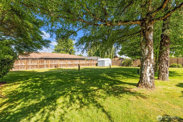 6410 151st Ave E, Sumner, WA 98390 - view of yard
