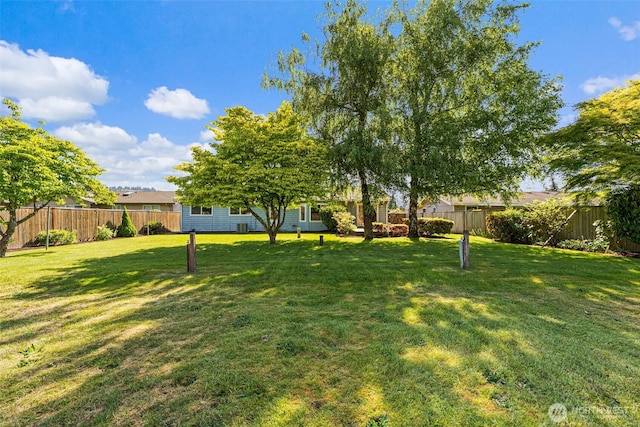 6410 151st Ave E, Sumner, WA 98390 - view of yard