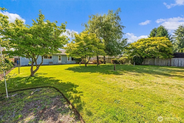 6410 151st Ave E, Sumner, WA 98390 - view of yard