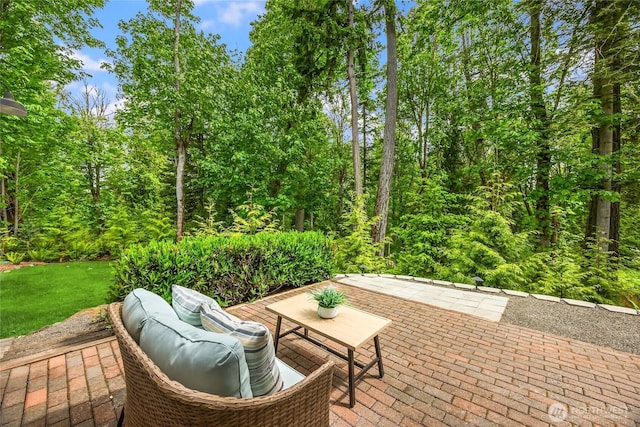 3029 Yankee Girl Cir NE, Bainbridge Island, WA 98110 - view of patio