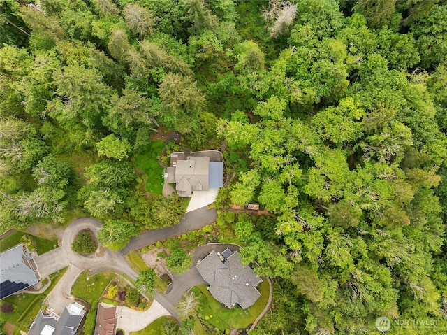 3029 Yankee Girl Cir NE, Bainbridge Island, WA 98110 - view of property location
