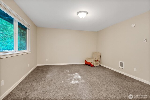 316 Antonie Ave N, Eatonville, WA 98328 - photo 21