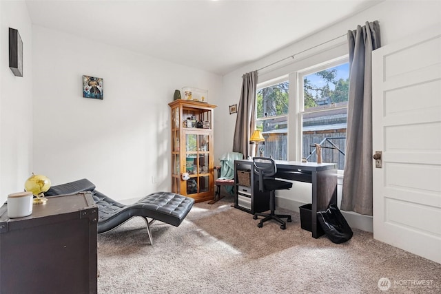 1102 Tecumseh St, Aberdeen, WA 98520 - view of carpeted office space