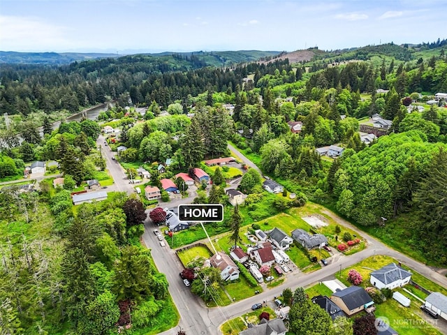 1102 Tecumseh St, Aberdeen, WA 98520 - aerial perspective of suburban area featuring a forest