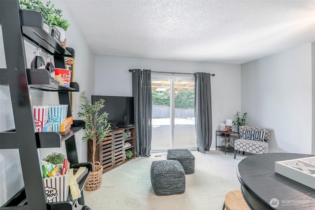 5907 N 31st St, Tacoma, WA 98407 - living room featuring carpet floors and a textured ceiling