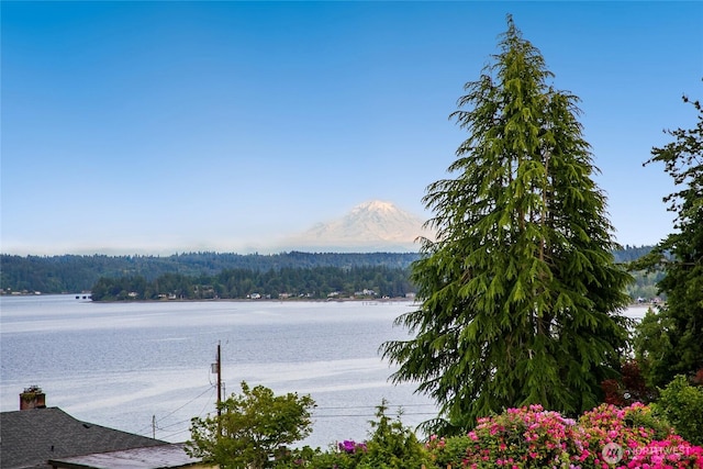 8151 E Seaview Dr, Port Orchard, WA 98366 - water view