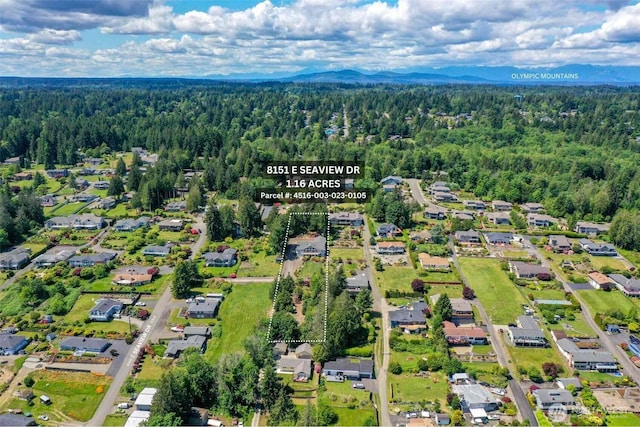 8151 E Seaview Dr, Port Orchard, WA 98366 - aerial perspective of suburban area with a forest and a mountain backdrop