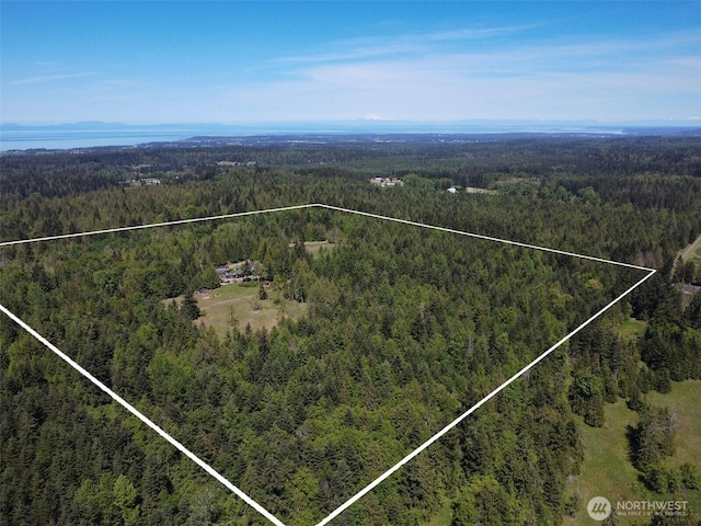 2734 Blue Mountain Rd, Sequim, WA 98362 - aerial view of property and surrounding area featuring a forest and property boundaries highlighted
