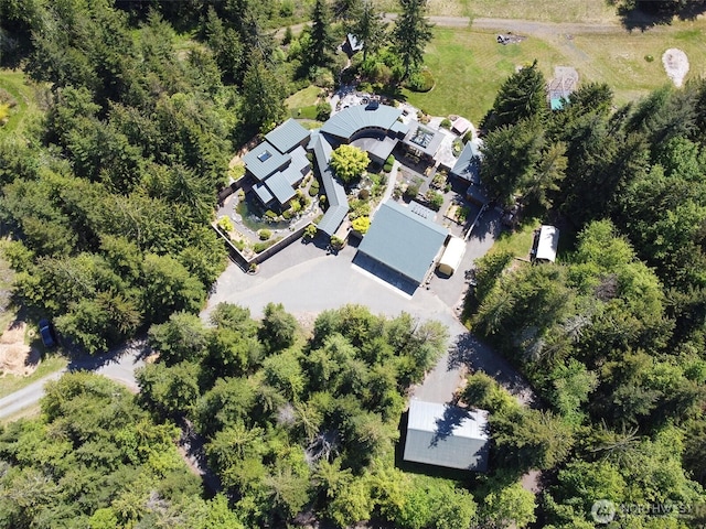 2734 Blue Mountain Rd, Sequim, WA 98362 - aerial view of property's location
