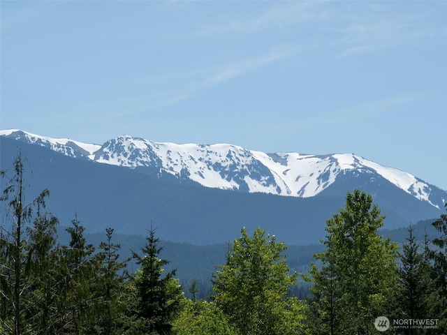 2734 Blue Mountain Rd, Sequim, WA 98362 - view of mountain background