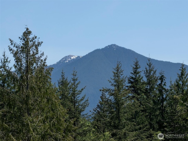 2734 Blue Mountain Rd, Sequim, WA 98362 - view of mountain background with a heavily wooded area