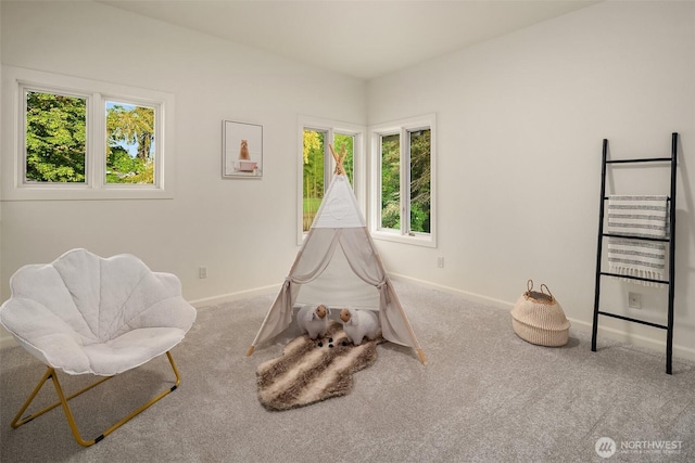 12909 Spanaway Loop Rd S, Tacoma, WA 98444 - rec room featuring plenty of natural light, baseboards, and carpet flooring