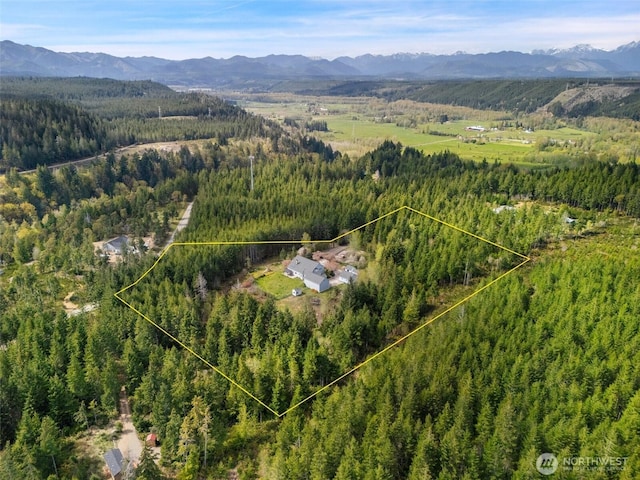 145 E Falcon Ct, Shelton, WA 98584 - aerial overview of property's location featuring a heavily wooded area, property boundaries highlighted, and a mountainous background