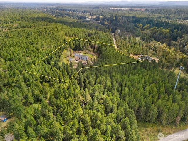145 E Falcon Ct, Shelton, WA 98584 - aerial view of property's location featuring a forest and property boundaries highlighted
