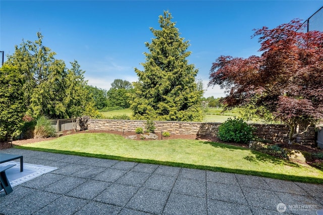 4844 Bridgeport Pl, Mukilteo, WA 98285 - view of yard with a patio