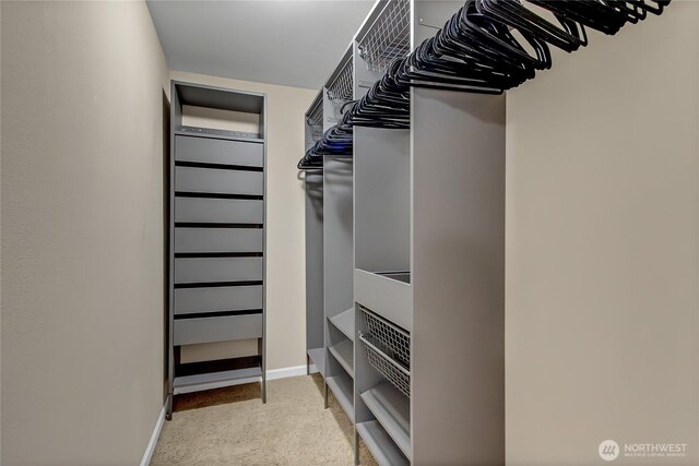 20003 13th Avenue Ct E, Spanaway, WA 98387 - walk in closet featuring carpet floors