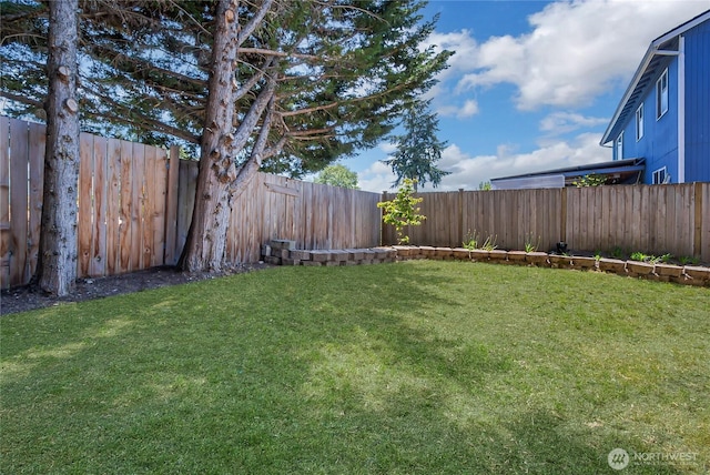 20003 13th Avenue Ct E, Spanaway, WA 98387 - view of yard