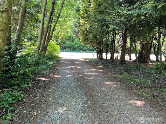 18423 Snohomish Ave, Snohomish, WA 98296 - photo 33