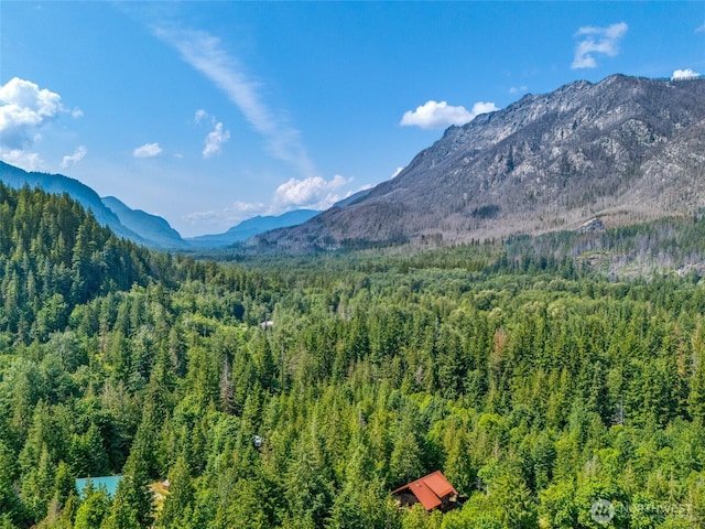 69524 NE 130th, Skykomish, WA 98288 - photo 2