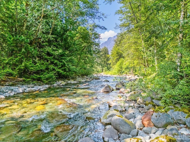 69524 NE 130th, Skykomish, WA 98288 - photo 4