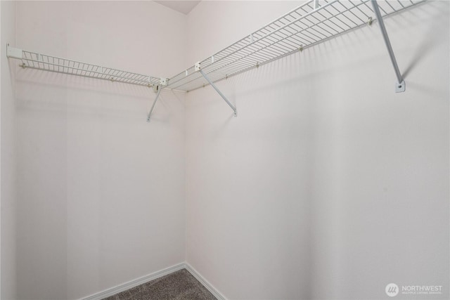 1733 NW 59th St Unit 201, Seattle, WA 98107 - spacious closet with carpet floors