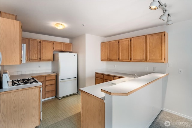 1733 NW 59th St Unit 201, Seattle, WA 98107 - kitchen featuring freestanding refrigerator, a sink, a peninsula, light countertops, and light flooring