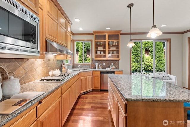 4105 215th St SE, Bothell, WA 98021 - kitchen with appliances with stainless steel finishes, crown molding, under cabinet range hood, light wood-style flooring, and decorative backsplash