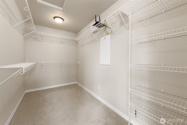4105 215th St SE, Bothell, WA 98021 - spacious closet featuring carpet flooring