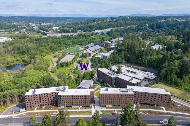4105 215th St SE, Bothell, WA 98021 - bird's eye view of a forest