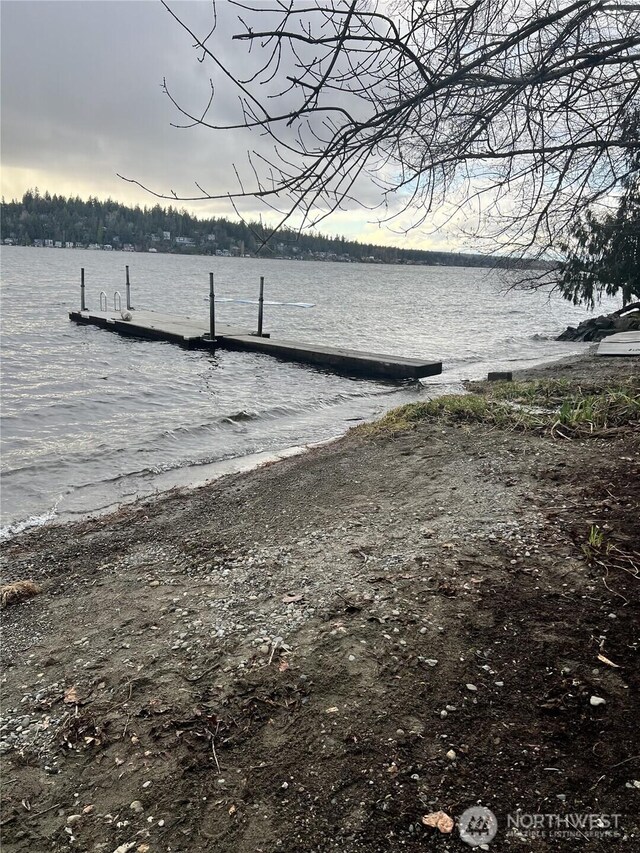 1653 204th Ave NE, Sammamish, WA 98074 - dock area with a water view and a boat ramp