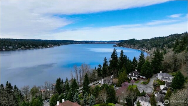 1653 204th Ave NE, Sammamish, WA 98074 - water view featuring a forest