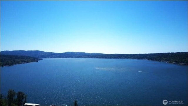 1653 204th Ave NE, Sammamish, WA 98074 - water view with a mountain backdrop