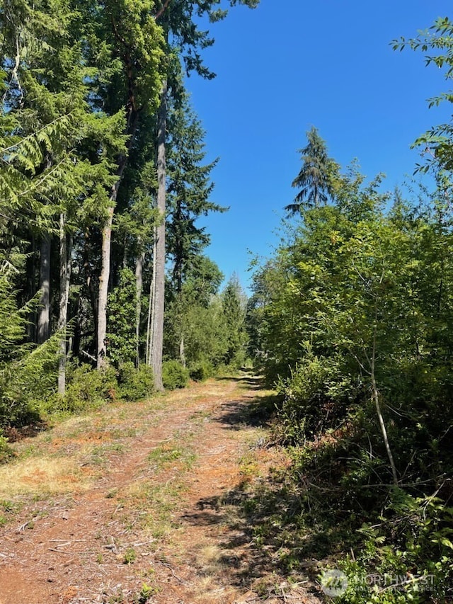 411 208th Ave NW, Lakebay, WA 98349 - photo 1