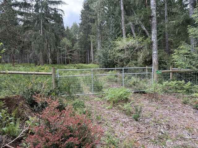 411 208th Ave NW, Lakebay, WA 98349 - photo 2