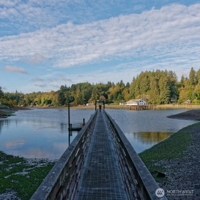 411 208th Ave NW, Lakebay, WA 98349 - photo 14