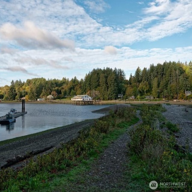 411 208th Ave NW, Lakebay, WA 98349 - photo 15