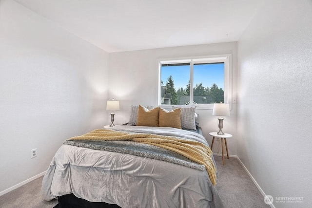 1112 SW 326th Pl, Federal Way, WA 98023 - bedroom featuring baseboards and carpet