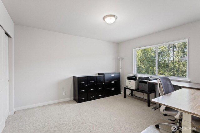 1120 156th Ave SE, Bellevue, WA 98007 - carpeted home office with baseboards