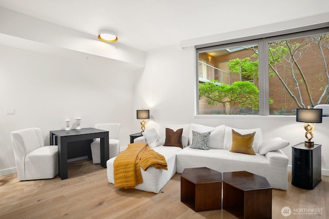 10650 NE 9th Pl Unit 3210, Bellevue, WA 98004 - living room featuring light wood-style floors