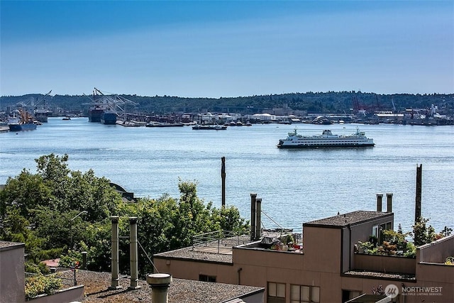 2021 1st Ave Unit G4, Seattle, WA 98121 - water view
