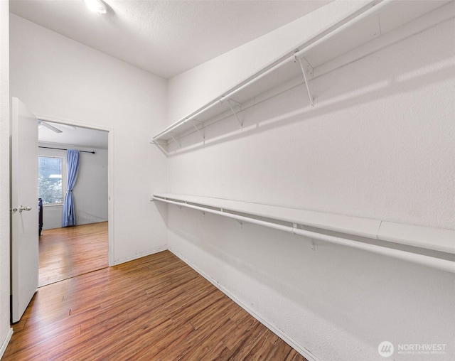 6350 Portal Way Unit 75, Ferndale, WA 98248 - walk in closet featuring wood finished floors