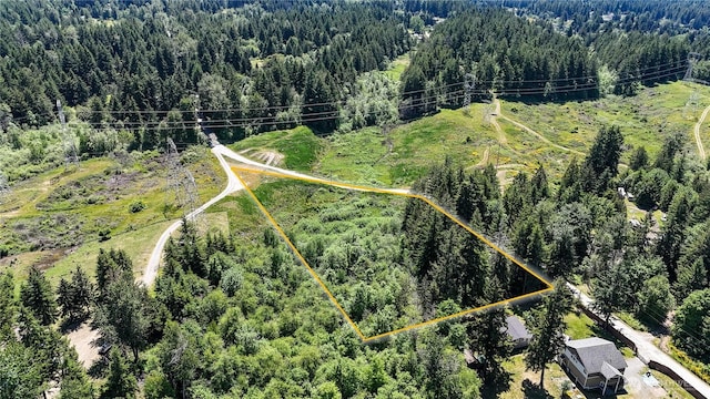 0 82nd Ave S, Roy, WA 98580
