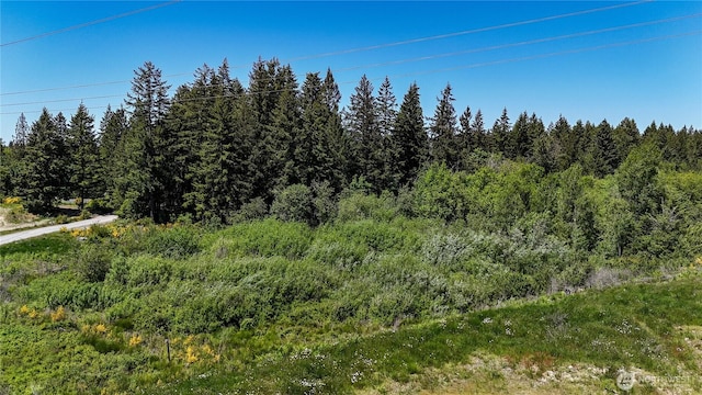 0 82nd Ave S, Roy, WA 98580