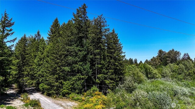 0 82nd Ave S, Roy, WA 98580