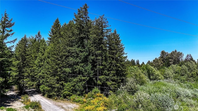 0 82nd Ave S, Roy, WA 98580