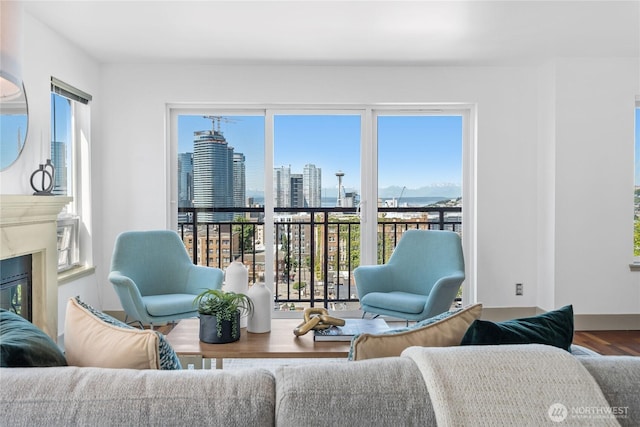 1711 E Olive Way Unit 519, Seattle, WA 98102 - living room featuring wood finished floors, a skyline view, and a glass covered fireplace