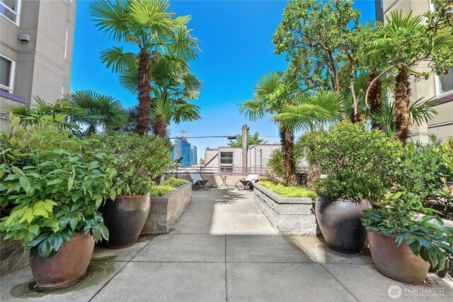 1711 E Olive Way Unit 519, Seattle, WA 98102 - view of patio / terrace